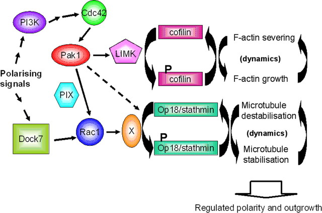 Figure 10.