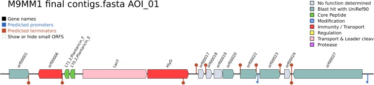 FIGURE 3