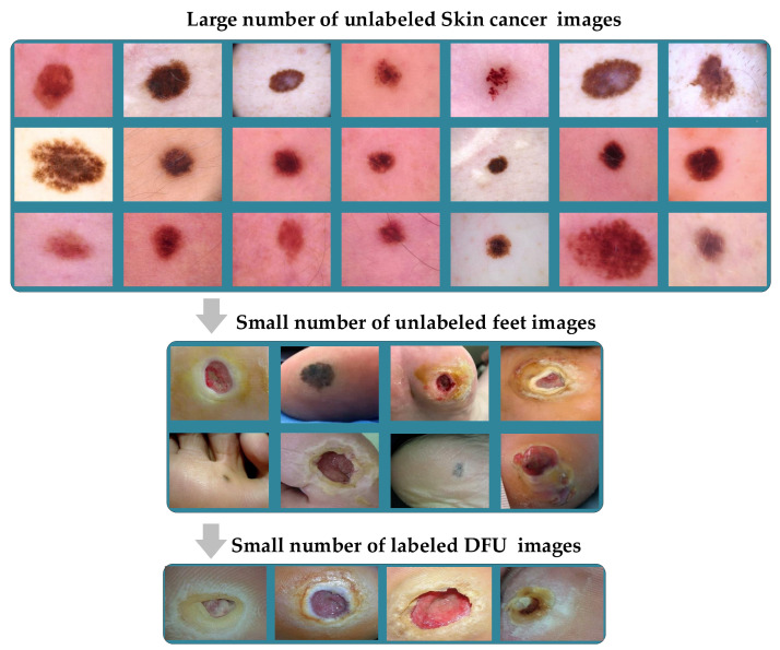 Figure 12