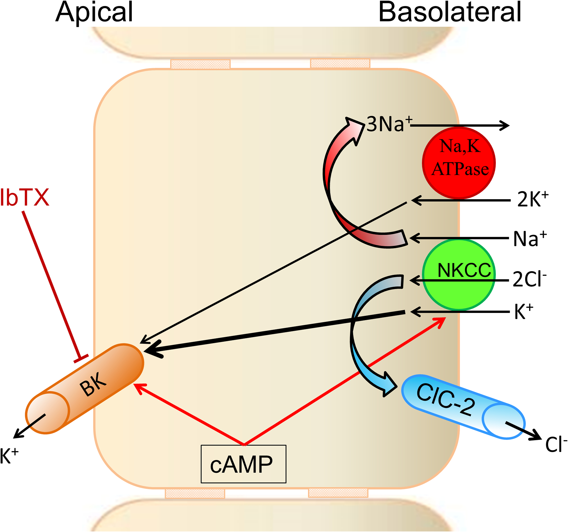 Figure-5: