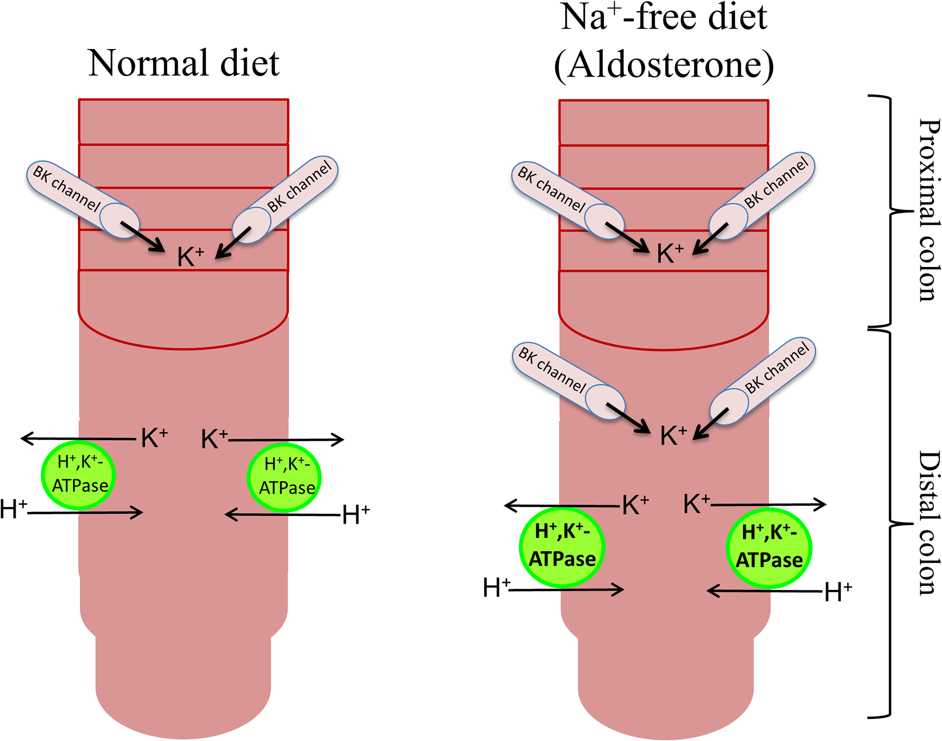 Figure-4: