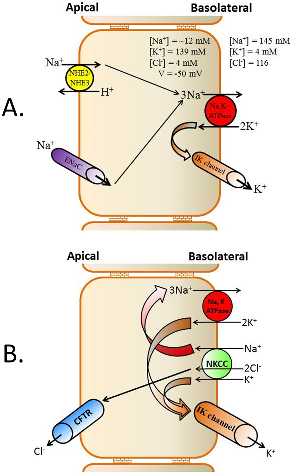 Figure-6: