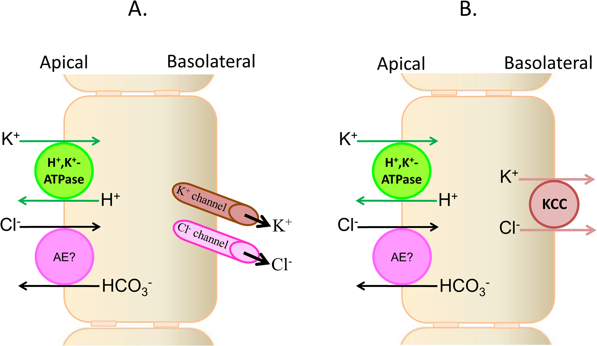 Figure 2: