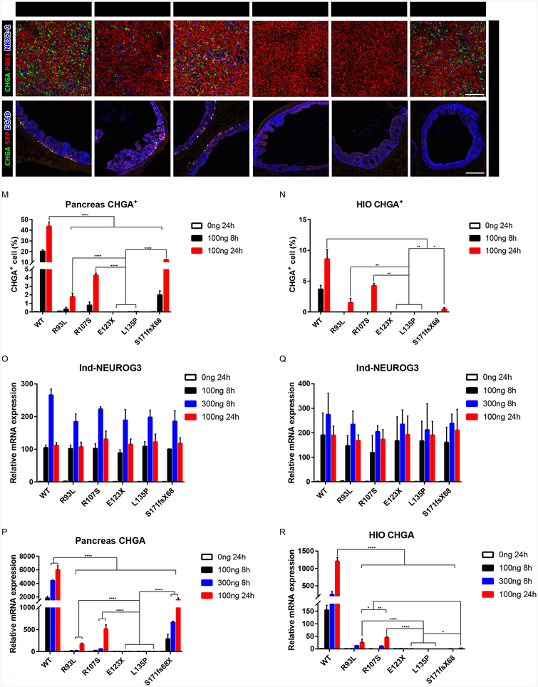 Figure 3: