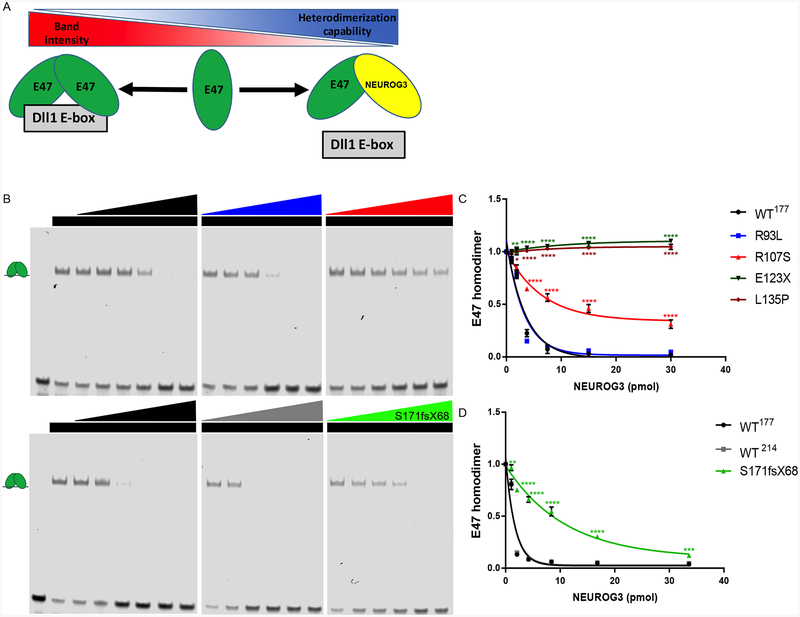 Figure 6: