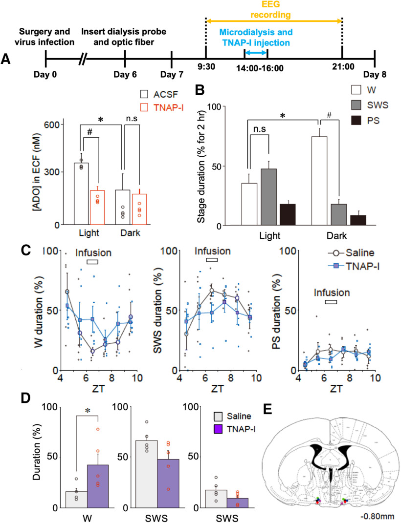 Figure 14.