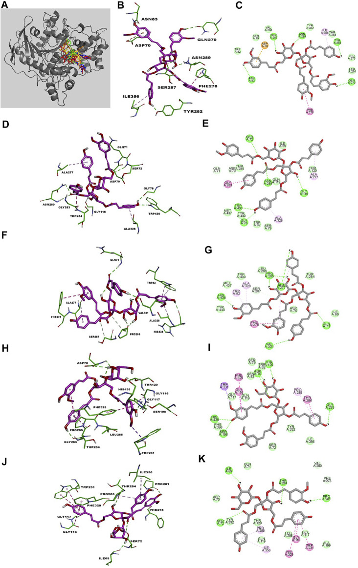 FIGURE 3