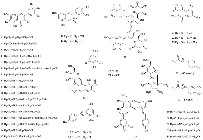 FIGURE 1