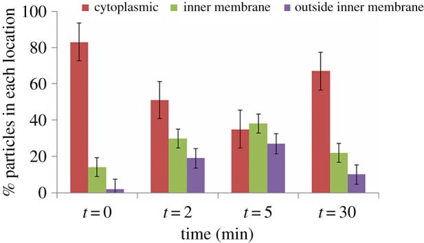 Figure 5.