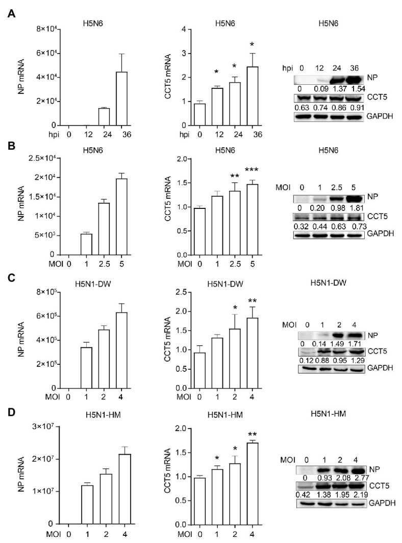 Figure 5