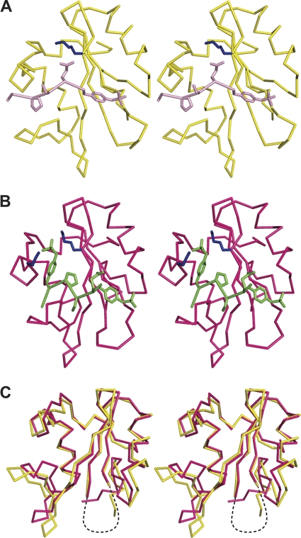 Fig. 9.