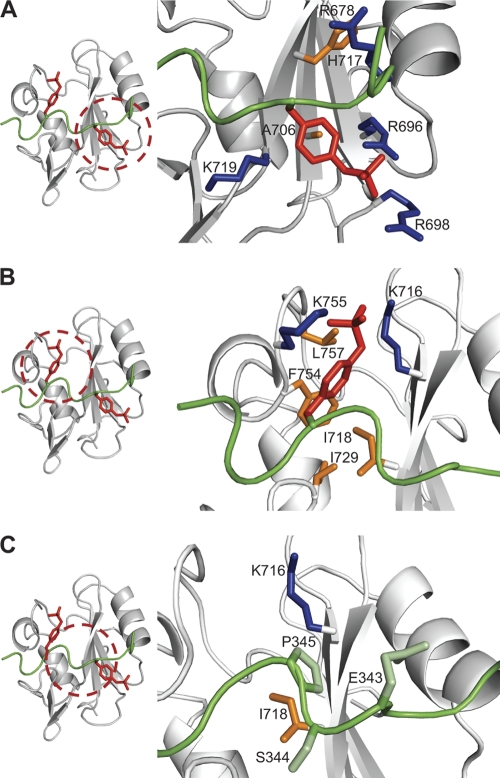 Fig. 4.