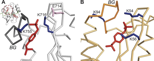 Fig. 8.