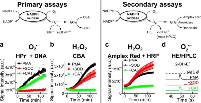 FIGURE 2.