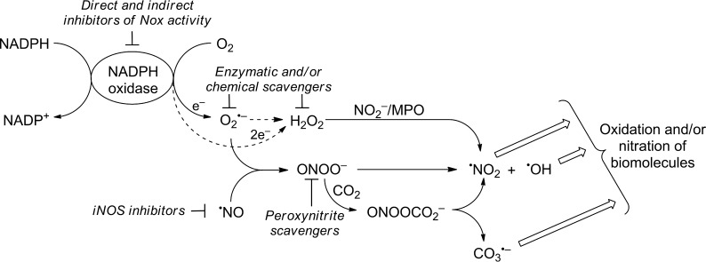 FIGURE 1.