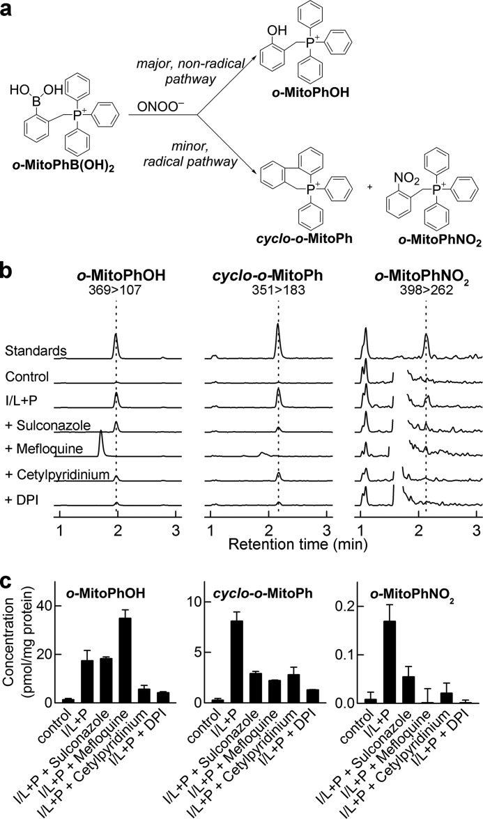 FIGURE 11.