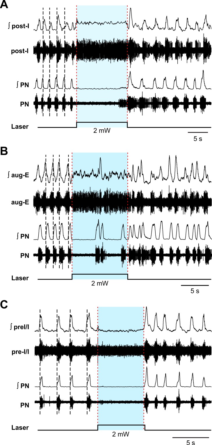 Fig 8