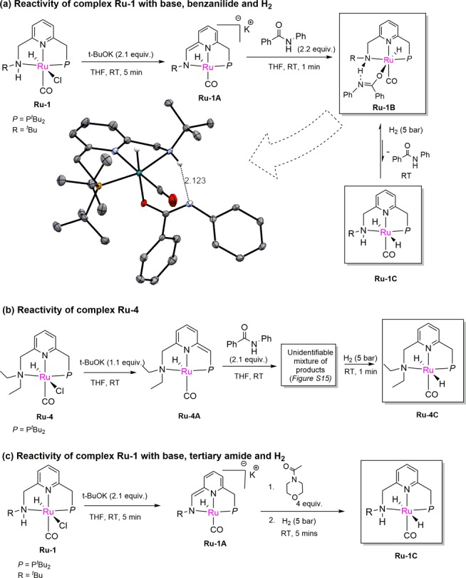 Scheme 2