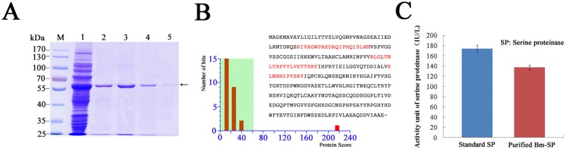 Fig 4