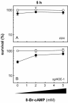 FIG. 8.