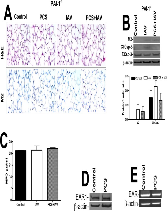 Fig 8