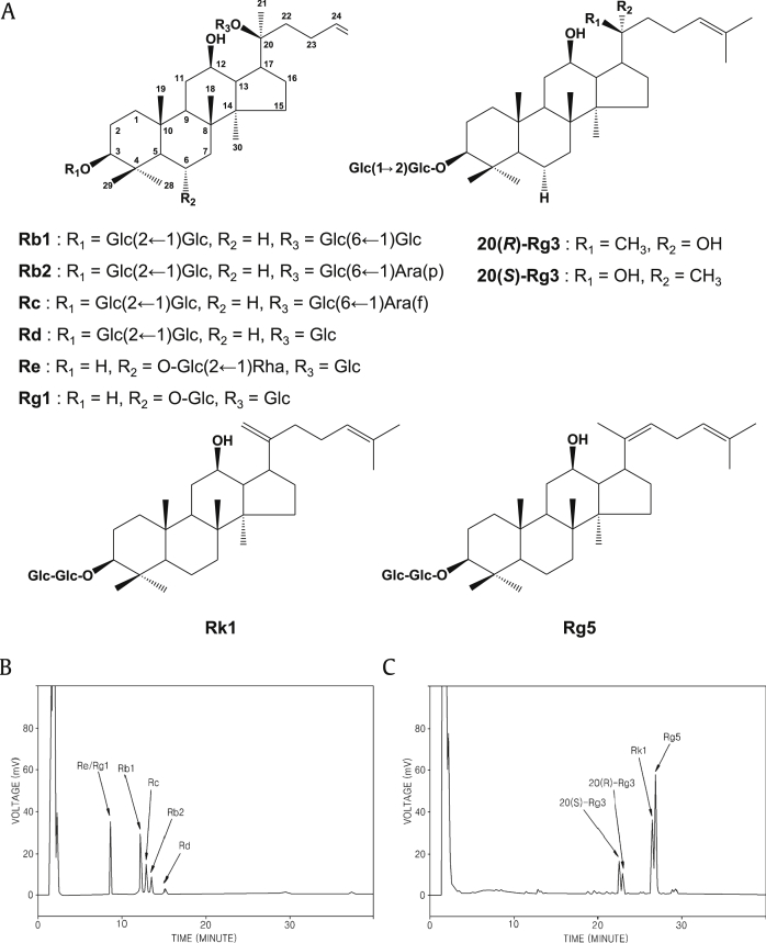 Fig. 1