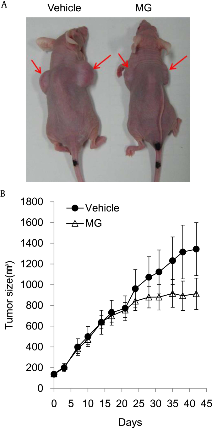 Fig. 4