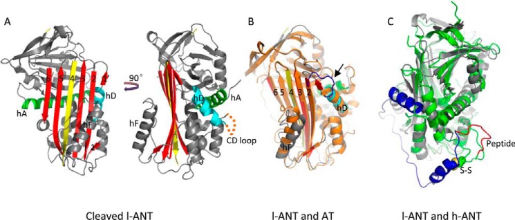 FIGURE 2.