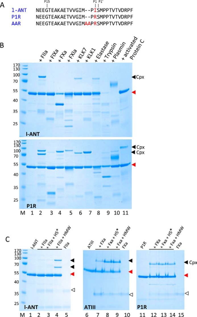 FIGURE 1.