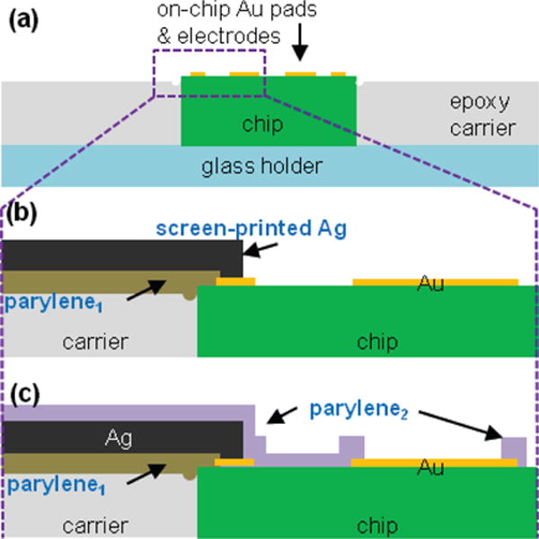 Fig. 7