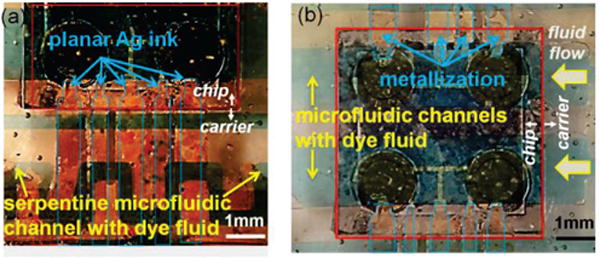 Fig. 15