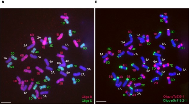 FIGURE 3