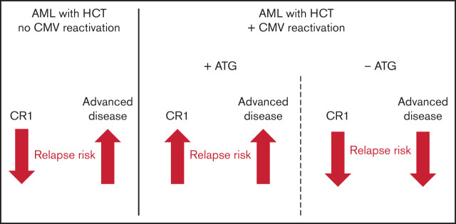 graphic file with name advancesADV2021005509absf1.jpg