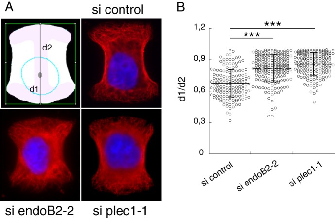 FIGURE 11.