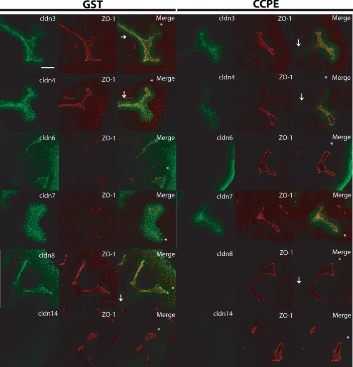 FIGURE 3