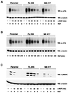 FIG. 6