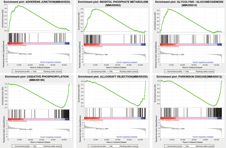 Figure 4