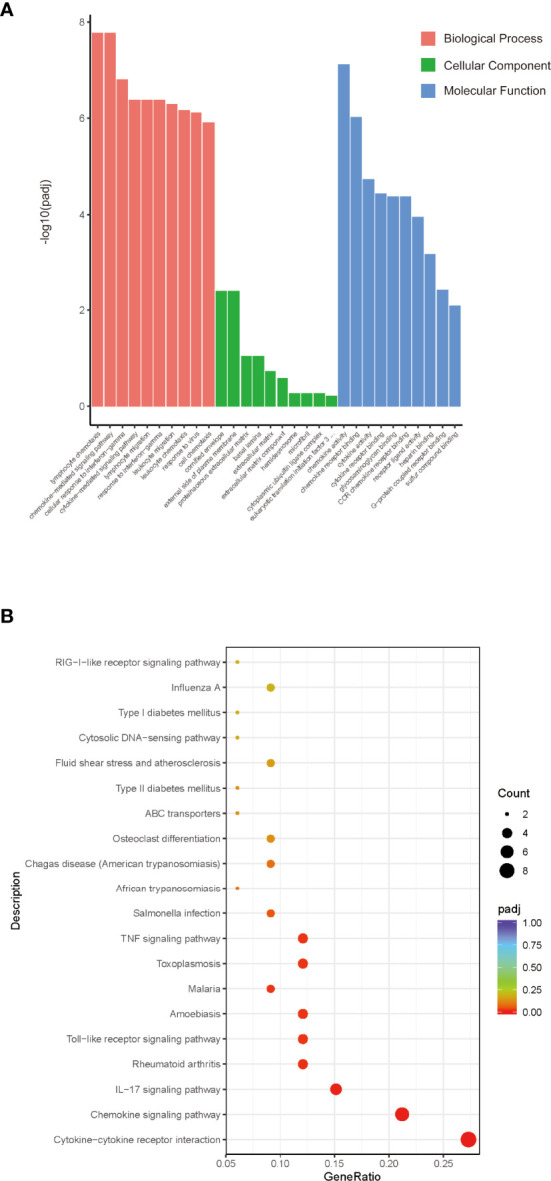 Figure 3