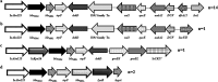 FIG 2