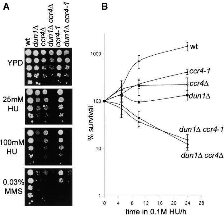 Figure 3.—