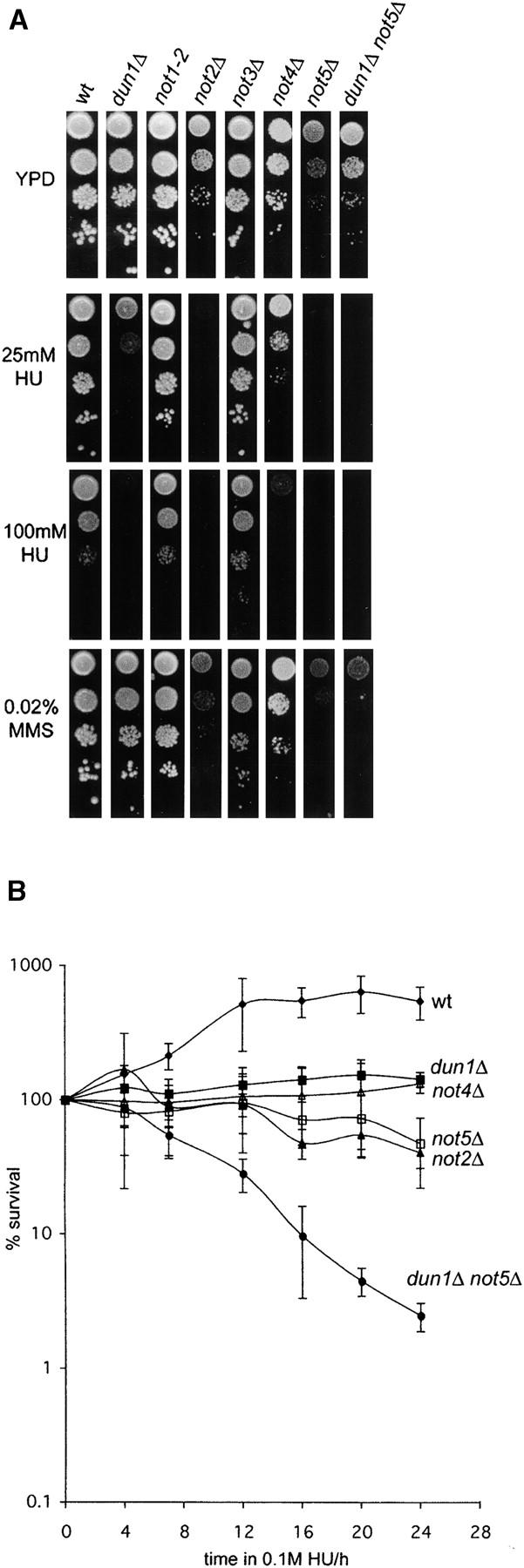 Figure 4.—