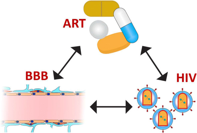 Graphical Abstract