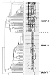 FIG. 1