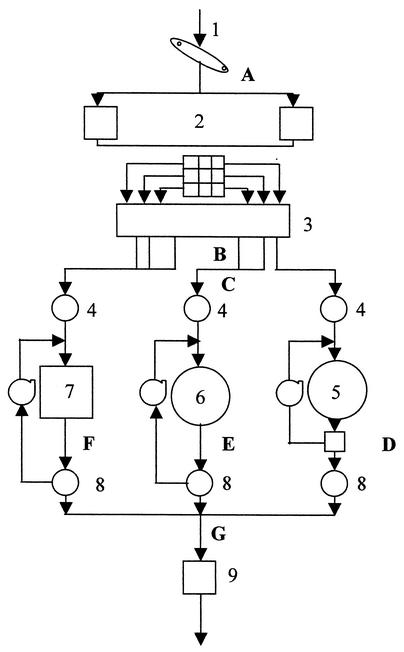 FIG. 1.