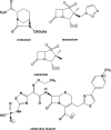 FIG 1