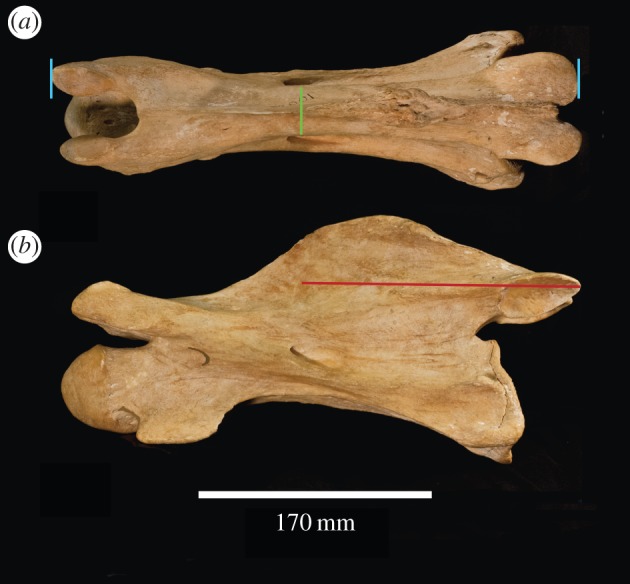 Figure 3.