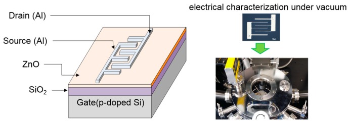 Figure 10