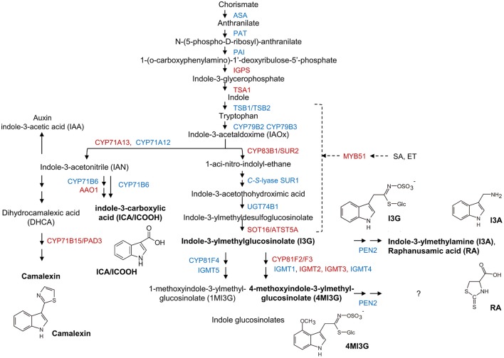 Figure 6