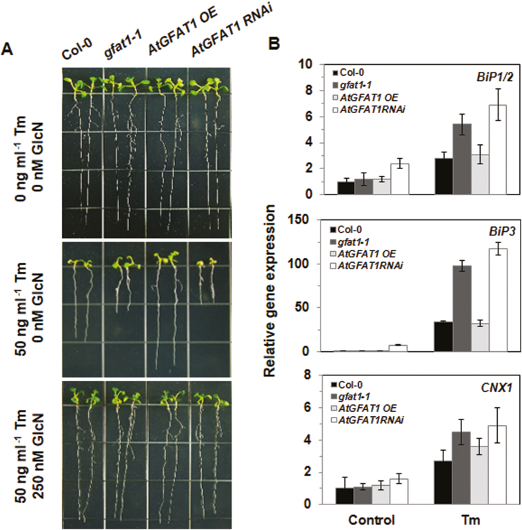 Fig. 4.