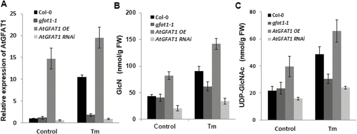 Fig. 3.